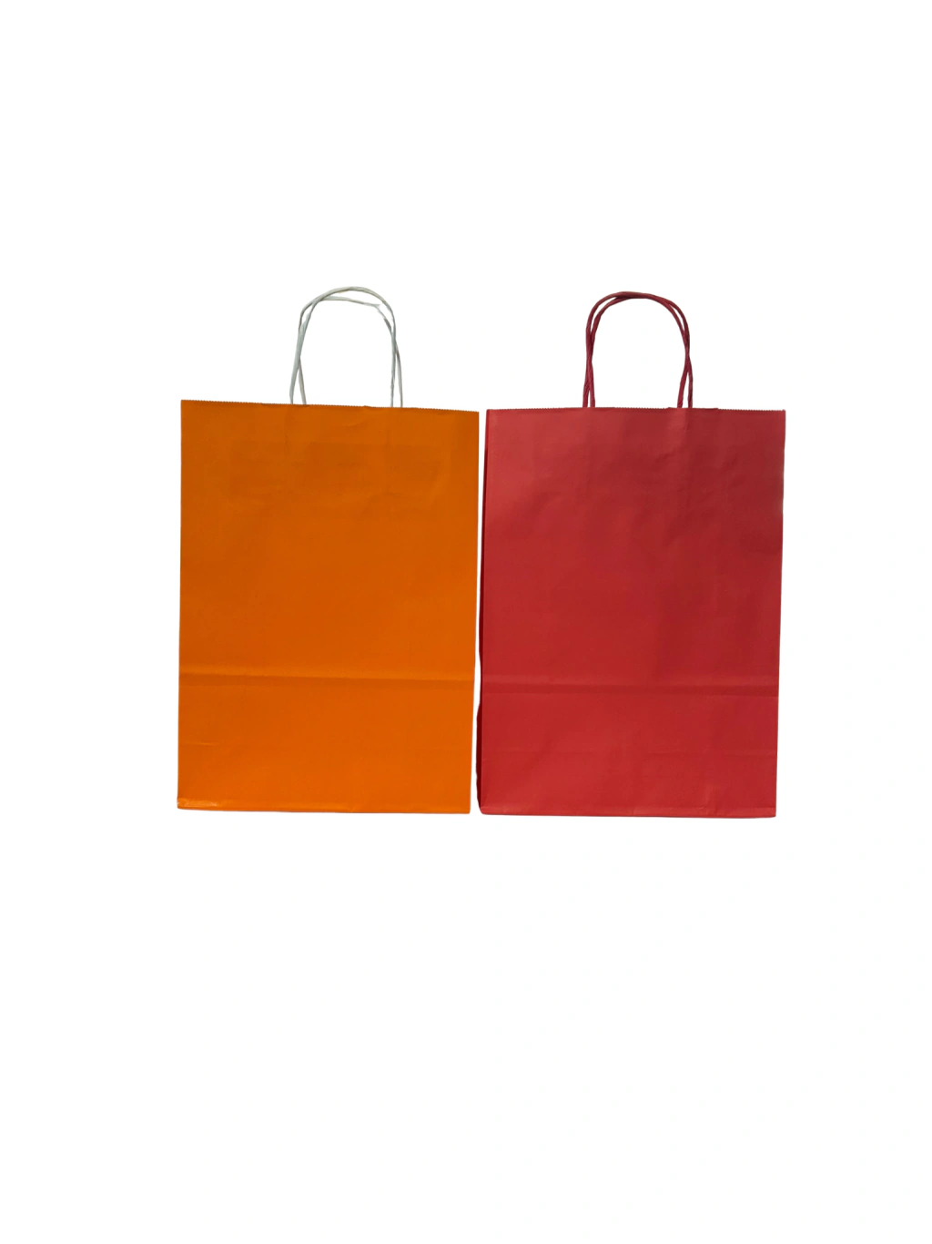 BOLSA DE PAPEL CON MANIJA MEDIANA, foto 1 de 3