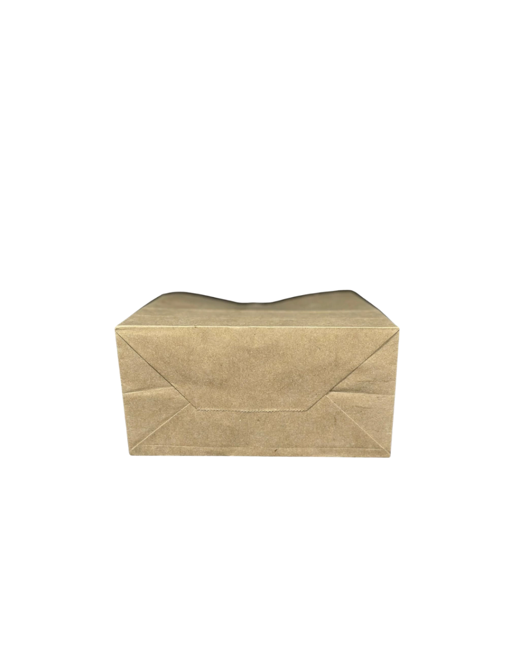 BOLSA DELIVERY FM5, foto 3 de 3