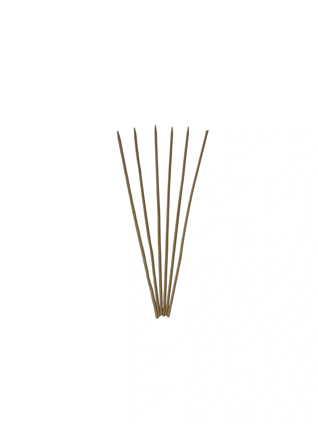 BROCHETTE 25 CM