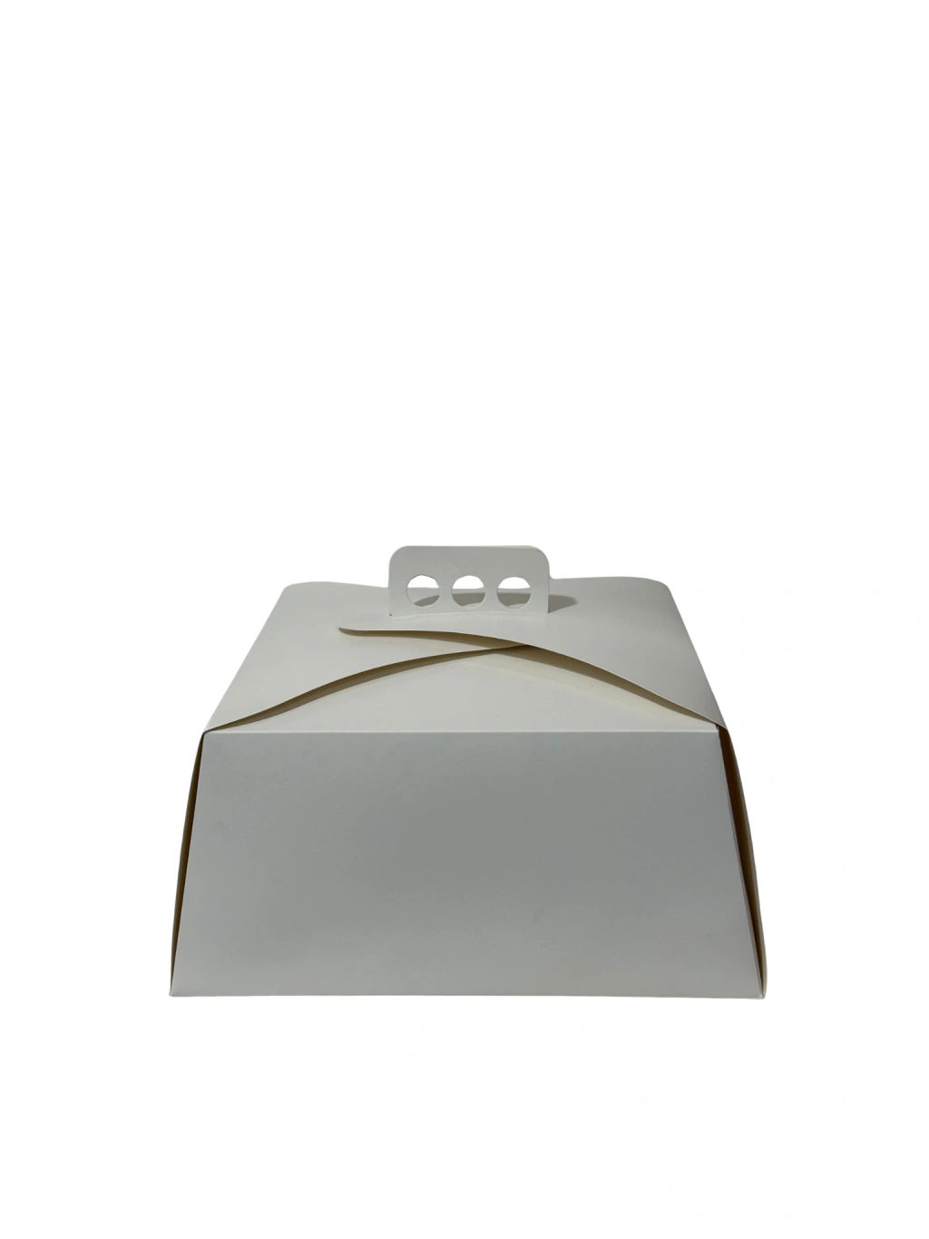CAJA DE TORTA MALETIN 25